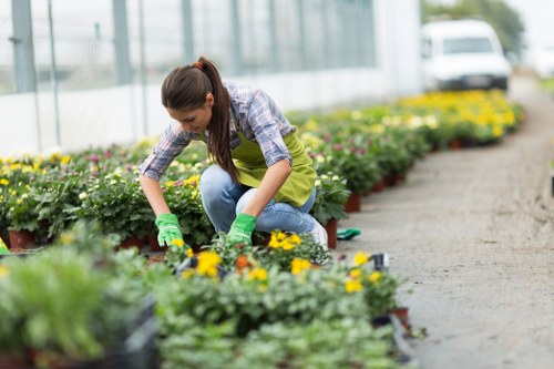 Workers carrying out safe landscaping and site clearance with protective equipment