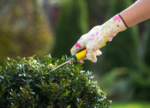 Landscaping team in Woolwich with safety equipment and waste clearance tools
