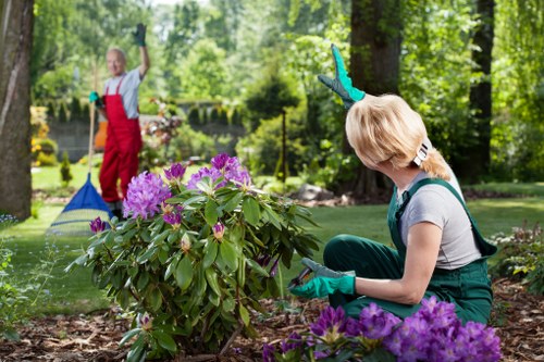 In a lush, well-maintained garden in Woolwich, a woman wearing gardening gloves and casual clothing is kneeling on the soil, pruning purple flowering shrubbery. The garden features a mix of vibrant green grass, flower beds bordered with mulch, and mature trees providing partial shade. In the background, a young girl dressed in a red apron and blue gloves is raking fallen leaves or debris near the pond, which has smooth stones along its edge. The scene captures a bright, sunny day with natural light filtering through the tree canopy, highlighting the different textures of the grass, foliage, and flower petals. This outdoor space showcases typical landscaped elements that professional gardening and lawn care services by Landscapers Woolwich might maintain, emphasizing tidy lawns, healthy shrubs, and well-kept flower beds within the outdoor environment of a domestic garden in Woolwich.