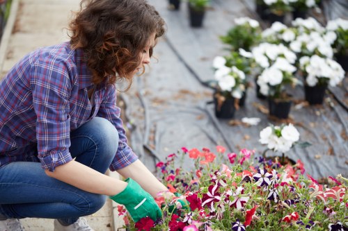 Garden clearance pricing illustration for Woolwich property rubbish removal
