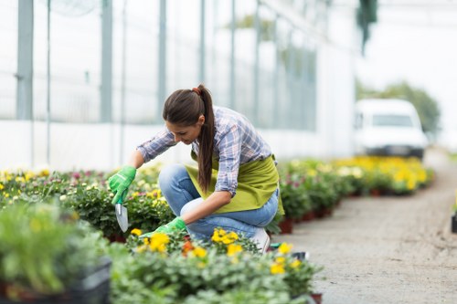 Deck maintenance services in Woolwich