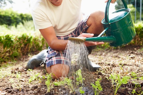 A person wearing a light-colored t-shirt and plaid shorts is kneeling on a garden soil bed, watering young green plants with a green watering can. The garden features a well-maintained lawn in the background, bordered by a neat hedge and a paved pathway. The soil appears rich and freshly turned, with several small seedlings growing evenly throughout the planting bed. Sunlight illuminates the scene, indicating a bright, clear day. This outdoor garden space is part of a residential property, showcasing a combination of natural plant growth and landscaped elements ideal for professional gardening and planting services in Woolwich, England. The scene emphasizes careful plant care and outdoor maintenance, aligning with landscaping initiatives aimed at enhancing garden aesthetics and health, as offered by Landscapers Woolwich.