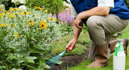 A gardener wearing brown rubber boots, beige trousers, and a blue vest is kneeling on a neatly maintained back garden lawn, watering a patch of flowering plants with a small garden watering can. The garden features a lush green lawn with a dense border of various flowering plants, including yellow, purple, and pink blooms, extending along a flower bed lined with dark soil or mulch. In the background, there are taller plants and hedges, creating a natural enclosure, with trees visible further back. The scene appears to be outdoors on a bright day with natural sunlight illuminating the space, emphasizing the vibrant colours of the flowers and the healthy appearance of the grass. This setting showcases a typical landscaped outdoor area suitable for gardening and lawn care services, such as hedge trimming, flower bed maintenance, and lawn watering, in Woolwich or surrounding areas, with a focus on seasonal plant care and garden sustainability by Landscapers Woolwich.