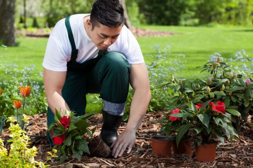 A gardener tending to a flower bed in a well-maintained outdoor garden area, with a lush green lawn and mature trees in the background. The gardener, dressed in a white shirt and dark green overalls, is kneeling on the mulch to carefully plant or prune red-flowered plants in terracotta pots placed among other small flowering plants. The garden landscape features healthy, densely leaved shrubs, bright blooms, and a neatly edged lawn, indicative of professional landscaping services such as those provided by Landscapers Woolwich. The setting appears to be in daytime with natural sunlight illuminating the scene, highlighting the vibrant colours of the flowers, the rich textures of the mulch, and the greenery surrounding the work area, creating an inviting outdoor space typical of residential gardening and landscape maintenance in Woolwich postcodes.