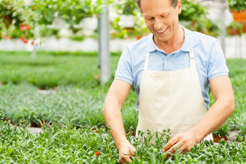 The image depicts a smiling man working in a well-maintained garden, likely in Woolwich, wearing a light blue shirt and a beige apron, surrounded by lush greenery and various plants. In the foreground, there is a neatly trimmed hedge with small, vibrant red flowers, bordering a lawn area with dense, healthy grass that appears evenly cut and lush. Behind him, a variety of shrubs and young trees add vertical structure to the landscaped outdoor space, with some flowering plants visible. The garden is situated in a bright outdoor environment, illuminated by natural sunlight, suggesting clear weather. The background shows a mix of garden elements such as flower beds, possibly with flowering plants and decorative foliage, and paved pathways or patios that form part of the landscaped yard, typical of professional gardening services in Woolwich. This scene reflects the careful attention to garden layout and plant health, aligning with landscaping and lawn care tasks performed by local experts like Landscapers Woolwich.