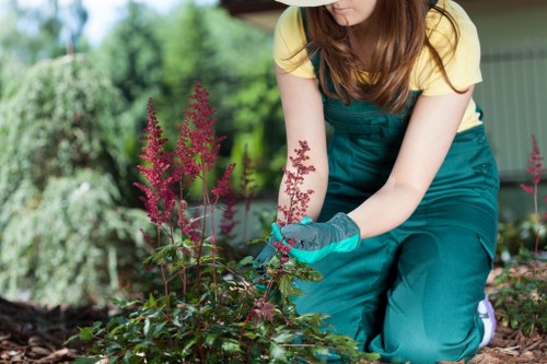 A gardener wearing teal overalls, a yellow T-shirt, and gardening gloves is tending to a flower bed in a well-maintained backyard garden. The garden features a lush green lawn with dense, dark green foliage and a variety of plants, including tall, pink-flowering shrubs in the foreground. In the background, there are mature trees and a wooden garden shed with a green roof, indicating a domestic outdoor space associated with a residential property in Woolwich. The soil around the plants appears freshly turned and healthy, suitable for gardening activities. The scene is lit with natural daylight, suggesting a mild, possibly spring or summer day, with vibrant colour tones of the plants contrasting with the natural wooden and green structures. This outdoor environment reflects regular maintenance and gardening care, highlighting the kind of outdoor space that a professional landscaper like Landscapers Woolwich might work on, helping to keep gardens tidy, healthy, and visually appealing for local homeowners.