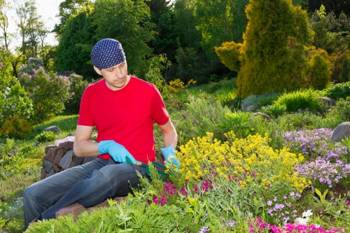 Eco-friendly sustainable landscaping in Woolwich