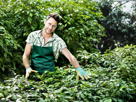 Seasonal garden maintenance activities in Woolwich