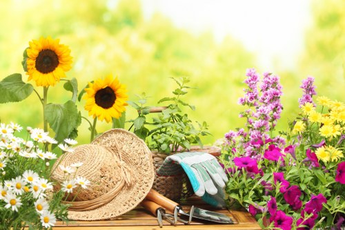 A vibrant garden scene featuring a wooden outdoor surface adorned with gardening tools, a straw sun hat, and gloves in front of a lush array of flowering plants. The garden includes white daisy flowers, tall yellow sunflowers with dark centres, and bright pink and purple flowering shrubs, all set against a background of greenery and soft sunlight filtering through the foliage. The landscape suggests a well-maintained outdoor space suitable for gardening and landscaping activities, typical of properties in Woolwich, with a lively and colorful atmosphere. The scene emphasizes natural textures and inviting colours, highlighting the appeal of outdoor garden care and planting services offered by Landscapers Woolwich, aligning with the gardening service focus of the webpage.