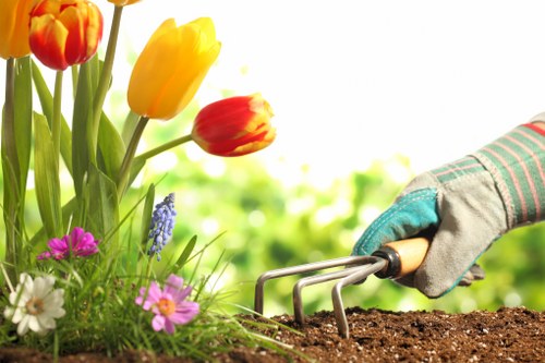 A close-up view of a garden with a variety of colorful flowers including tulips, daisies, and small purple and white blossoms growing in a flower bed. The flowers are vibrant with shades of yellow, red, pink, purple, and white, and are surrounded by lush green foliage. To the right, a gardener wearing a gardening glove is holding a small hand rake, actively tending to the dark, rich soil in the flower bed. The background shows a softly blurred outdoor setting with bright natural light, indicating a sunny day. The scene emphasizes detailed plant arrangement, healthy foliage, and well-maintained garden soil, reflecting professional gardening practices that could be offered by a local landscaping company such as Landscapers Woolwich serving gardens in the Woolwich area.