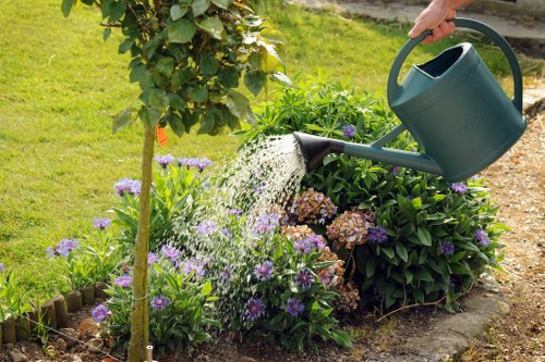 In a well-maintained garden feature, a person's hand is visible holding a green watering can, pouring water onto colorful flowering plants and lush shrubbery. The garden is bordered by a small wooden edging, with a patch of green grass in the background and a young tree with a slender trunk and broad leaves nearby. The flower bed contains a mixture of purple and pink blossoms, with vibrant green foliage surrounding them. The soil appears moist from previous watering, and the scene is illuminated by natural daylight indicating a clear, sunny day, reflecting typical outdoor maintenance activities. This setting is situated in a landscaped outdoor space, likely part of a residential garden or landscaped communal area, with attention to plant care and aesthetic detail, aligning with gardening services offered by companies such as Landscapers Woolwich.