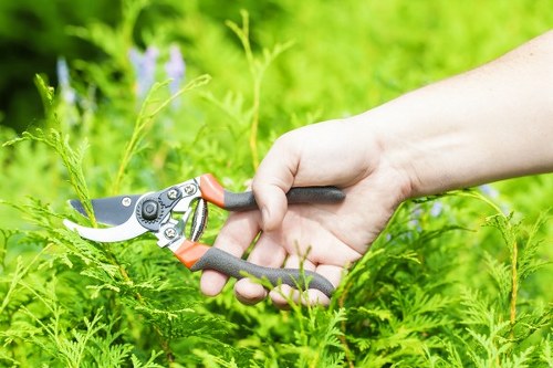In a well-maintained outdoor garden space, a person's hand is shown using a pair of pruning shears to trim a green hedge or shrub, set against a background of lush greenery and a blurred natural environment. The garden features neatly trimmed hedges and an abundance of vibrant foliage, with a mix of dense low-growing plants and taller shrubs. The soil beside the hedge appears healthy, and the overall scene suggests active garden maintenance. The setting is outdoors, with natural daylight highlighting the varying shades of green and the texture of the leaves, reflecting typical landscaping work performed by professionals such as those from Landscapers Woolwich. This image illustrates garden pruning activity in a landscaped area, emphasizing outdoor garden care and shrub management as part of comprehensive gardening services in Woolwich or nearby locales.