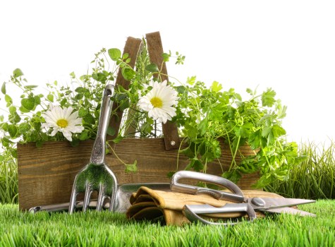 Sustainable landscaping solutions in Woolwich