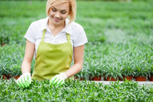 A young woman with blonde hair, wearing a white shirt, a light green apron, and matching gardening gloves, is working in a nursery or garden centre outdoor area. She is tending to rows of small potted plants, which are densely packed with vibrant green foliage. The potted plants are arranged in neat, raised beds with dark reddish-brown borders, set on cultivated soil or maintained ground. The background displays a lush, well-kept lawn area with uniformly green grass, suggesting a cultivated outdoor garden environment typical of professional gardening services in Woolwich. The scene is lit by natural daylight, possibly under cloudy or partly sunny conditions, creating a soft and balanced light across the landscape. The woman appears engaged in gardening or plant care activities, supporting the local landscaping and gardening maintenance services offered by Landscapers Woolwich, with a focus on plant cultivation and outdoor garden management near the postcode area of Woolwich, London.