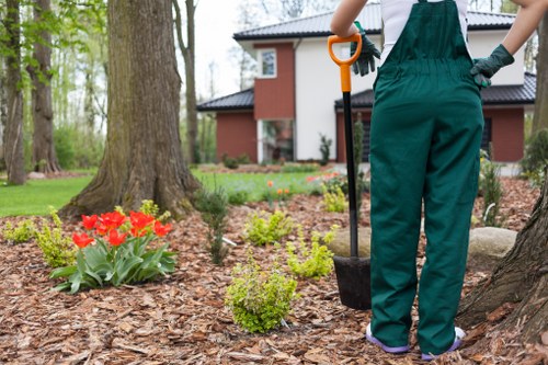 In a well-maintained front garden within Woolwich, a gardener wearing green overalls stands among mulched flower beds, holding a small hand trowel while preparing to plant or tend to the garden. The garden features a variety of young green shrubs and bright red tulips blooming in the mulch area, which is bordered by natural stone edging. Behind the gardener, mature trees with thick trunks provide shade, and a modern red-brick house with white window frames and a black-tiled roof is visible in the background. The grassy lawn is lush and green, contrasting with the freshly mulched planting areas. An outdoor environment suited for landscaping and gardening services, with a serene and tidy appearance, capturing the early spring or summer season under natural daylight, with soft shadows indicating a clear weather day. This scene highlights the importance of garden care and flower bed creation, relevant to services offered by Landscapers Woolwich.