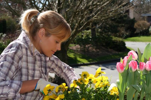 Creative garden design by Woolwich landscapers